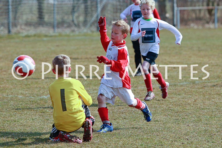 Zwaluwentoernooi bij VESDO in beeld
