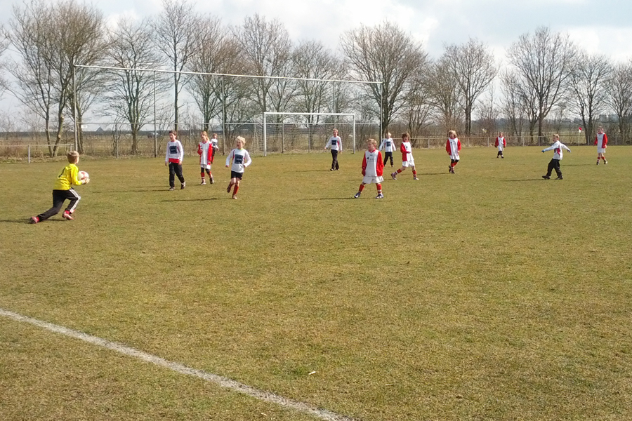 Verslag zwaluwentoernooi f1