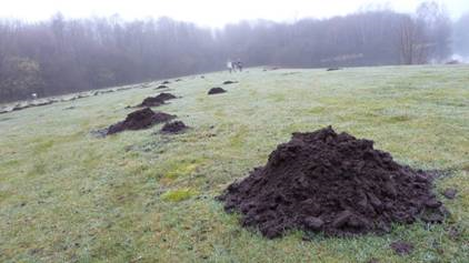 Vesdo 35+ vindt de Mol! 